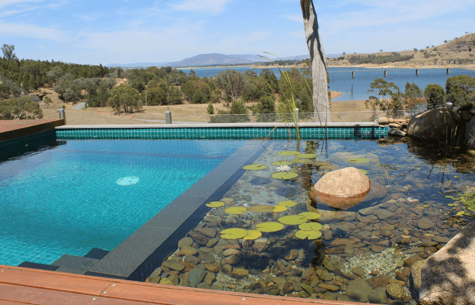 Natural Pool, Kolam Renang Alami, Sehat, dan Hemat Biaya